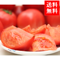 ʬ ե롼ĥȥޥ
<br>㼮ɱʤҤˢ