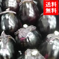 建 ݤʤ