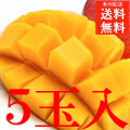 ܺޥ󥴡 
<br>̥ ̵͹礻