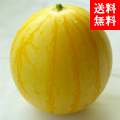 珍しい黄金色のスイカ!福井県の≪金福すいか≫