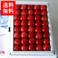 ޻ ǹ
<br>ϥ ƣӢ