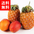 饬ࡡѥޥ󥴡å
