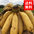 ɽ绺󥵥Хʥ