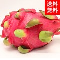 ɥ饴ե롼ġʥåɡ