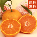 ߴޤߤ
<br>դ롼ʪ