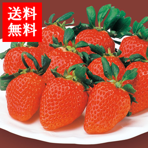 ǹ⥯饹
<br>̼