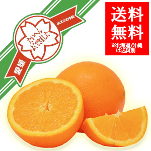 ǥå֥͡