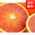 ɲ绺
<br>֥åɥ󥸢