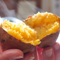 縩绺
<br>Ǽ