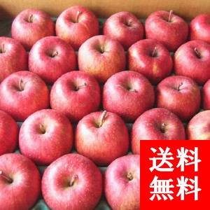 ŷڻ դȤ餺դ ڽʡ̡