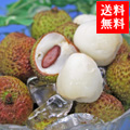 ͽ󳫻ϡ
<br>ѻ饤