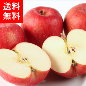 Ŀŷڻ 
<br>ץ饤ॢåץ롪