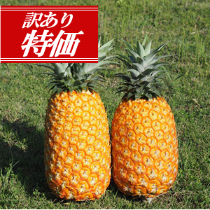 Υѥʥåץ롦ɥХ롡ò