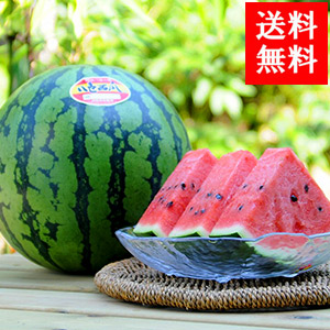 Ȭ(䤤)