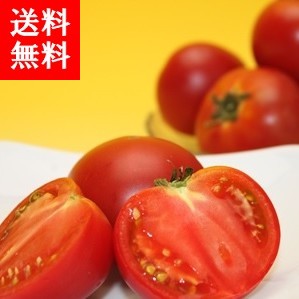 北海道産フルーツトマト<br>≪北の極≫