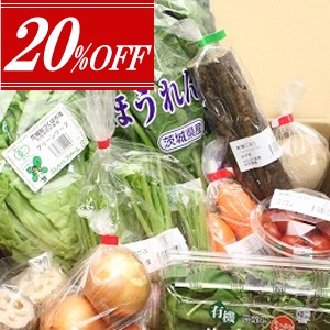 20OFF
<br>㥪˥åڥåȢ