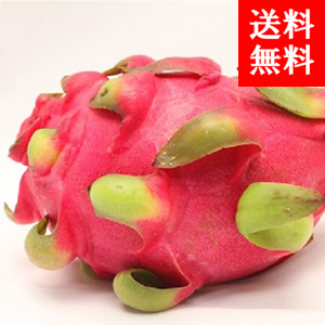 ٥ȥʥ໺
<br>ɥ饴ե롼ġʥåɡˢ