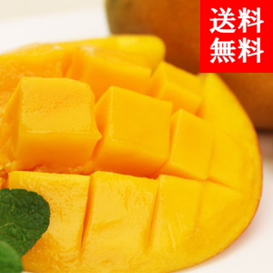 ڹҶءۥڥ롼 
<br>ϥޥ󥴡