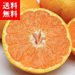 Ĺ껺 ̣ޤߤ