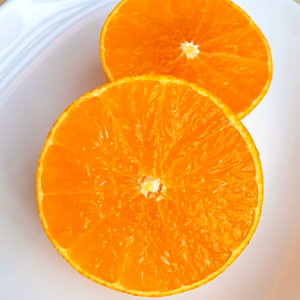 ɲ  28 5kg
<br>̾ Ȥޤɤ