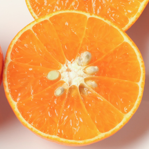 Ĺ껺  ȹʤ٤ˤ