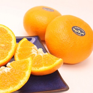 ѡ2.5kg
<br>ꥸʥ봻̢ۤäڢ