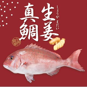 ǥꡪθժ