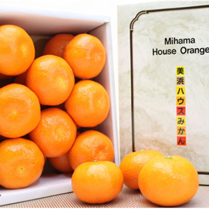 ���λ� �ϥ����ߤ��� �ߤϤޤä�