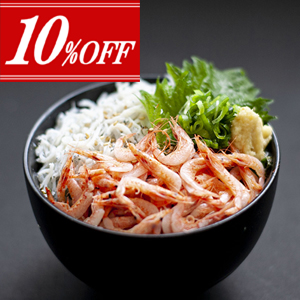 10%off۽ٲѻ ӡ餹̣襤Ԥ