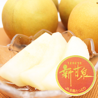 Ļ襪ꥸʥ֥
<br>ʤ󤫤󤻤
