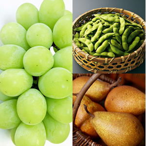 齩㻳ޢ
<br>ܤڡΥå