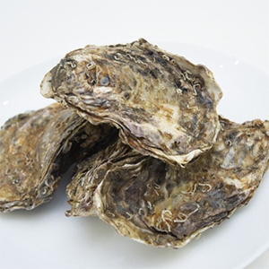 硡绺
<br>ڡʲǮѡ