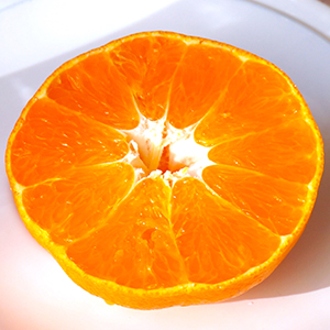 ɲʿʤڤˢ