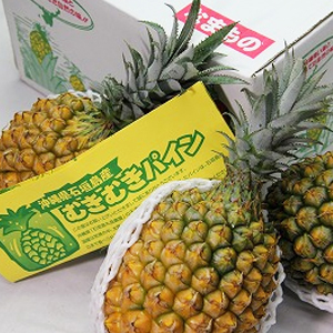  г绺 줵Υʥåѥ