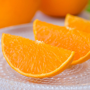 ĻԾء
<br>ɲ̪Ȥ