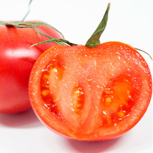  ͵Υȥޥȡ֥᡼òǤ󶡡