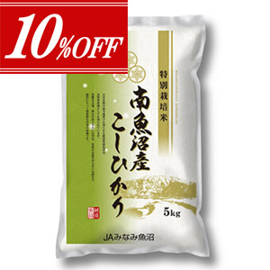 10%OFFۢ8为»ҥ