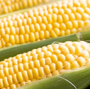 ġʤ
<br>Ϻ