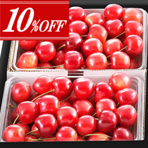 【10%OFF】山形産 棚栽培 プレミアム紅秀峰≪特秀・2Lサイズ以上≫