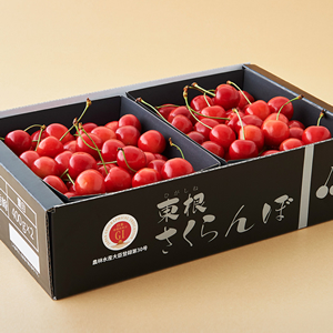 地理的表示(GIさくらんぼ)
<br>「東根紅秀峰」
