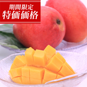 ڴָȱ硪
<br>ѻåץޥ󥴡̲5