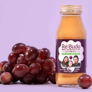 Re:Budo(֤ɤ塼)