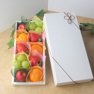 Xmas Fruits Coffret -ե롼ĥե-