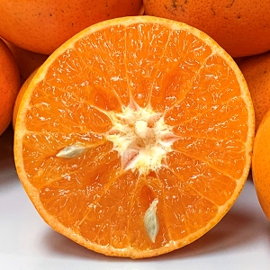ޤҤǴ̱
<br>ȡʤ줤5kg