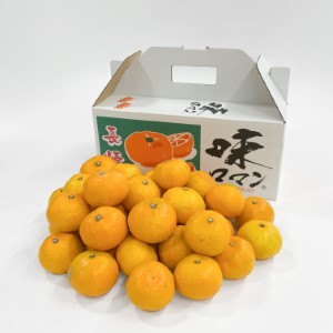 12١ạ̊́襤Ĺꡡ̣ޥ