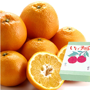 ɲ 褫
<br> ͽ 