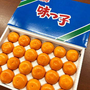 Ĺ껺 崰̣ûҤߤ