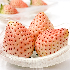 컺 ԥ󥯤
<br>ŷΤ