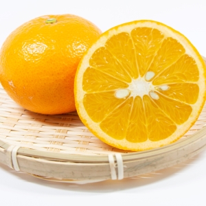 ܻȴŲ