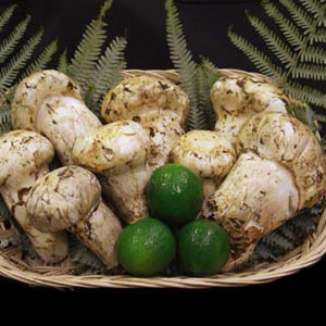 ���ƻ� ����